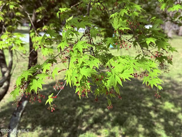 910 Highland Avenue, Trent Woods, NC 28562