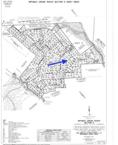 12050 High Branch Way, Willis, TX 77378