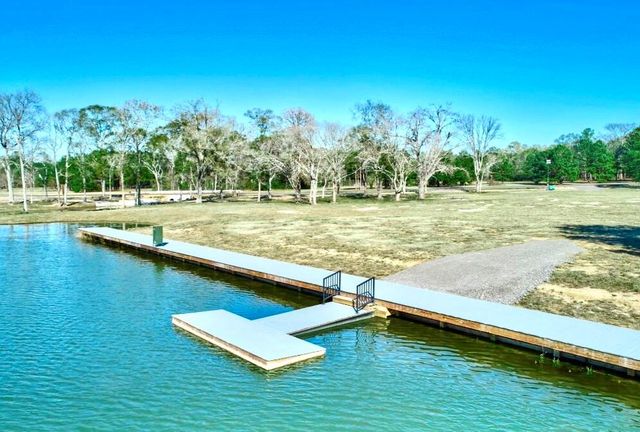 12050 High Branch Way, Willis, TX 77378