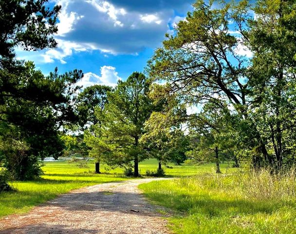 12050 High Branch Way, Willis, TX 77378