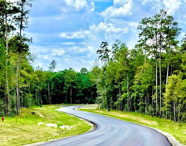 12050 High Branch Way, Willis, TX 77378