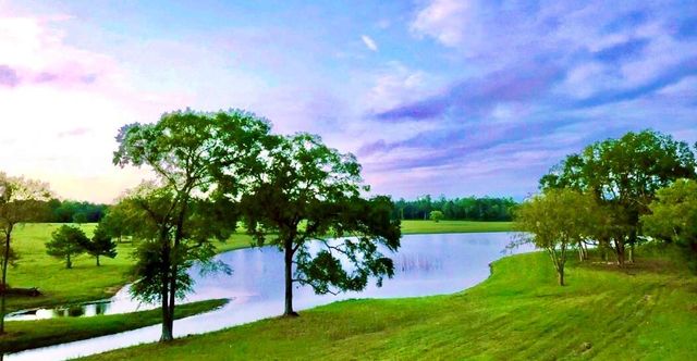 12050 High Branch Way, Willis, TX 77378