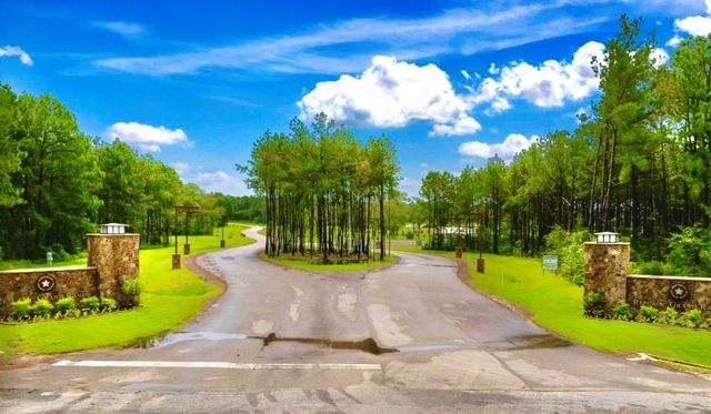 12050 High Branch Way, Willis, TX 77378