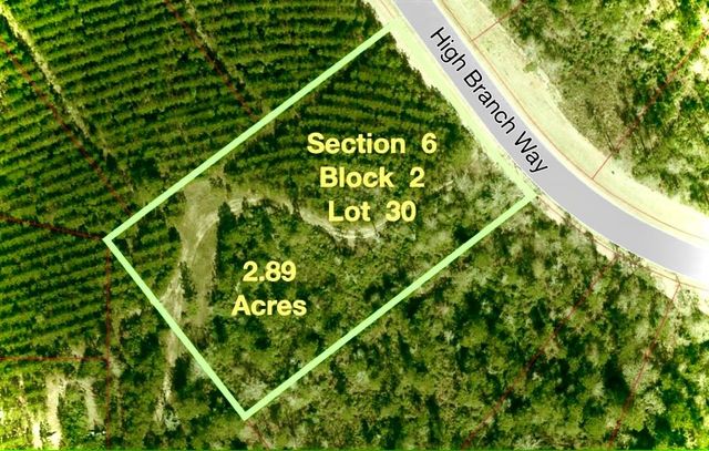 12050 High Branch Way, Willis, TX 77378