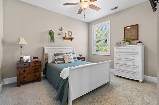 417 Brookridge Drive, Chapin, SC 29036