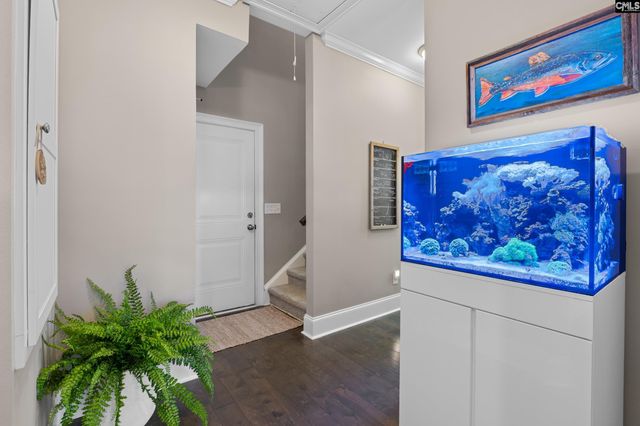 417 Brookridge Drive, Chapin, SC 29036