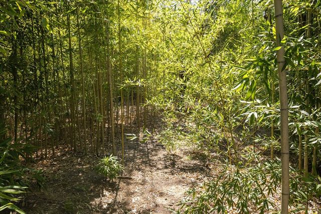 363 Elm Pass 2 Rd, Center Point, TX 78010