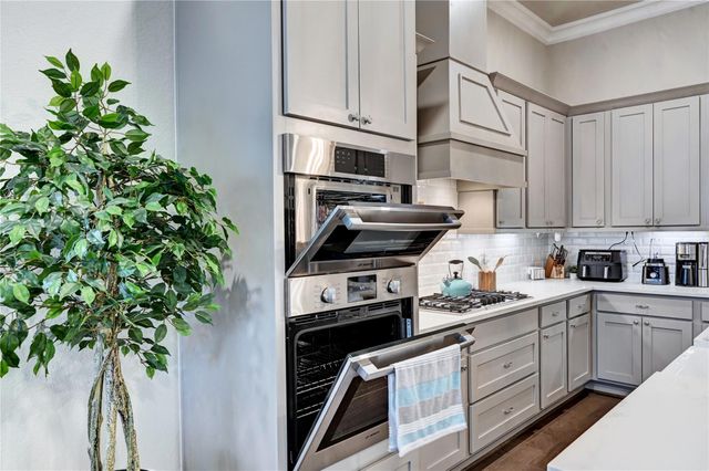 131 Mcgoey Circle, Shenandoah, TX 77384