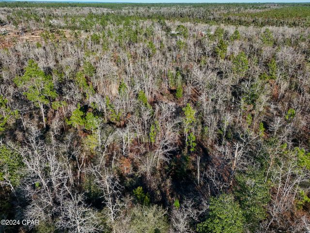 000 NW Apachee Road, Fountain, FL 32438