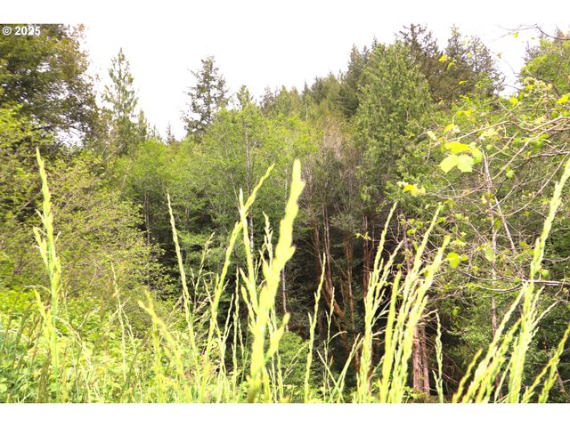 68814 W FORK MILLICOMA Rd, Coos Bay, OR 97420