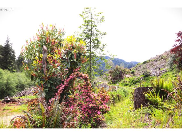 68814 W FORK MILLICOMA Rd, Coos Bay, OR 97420