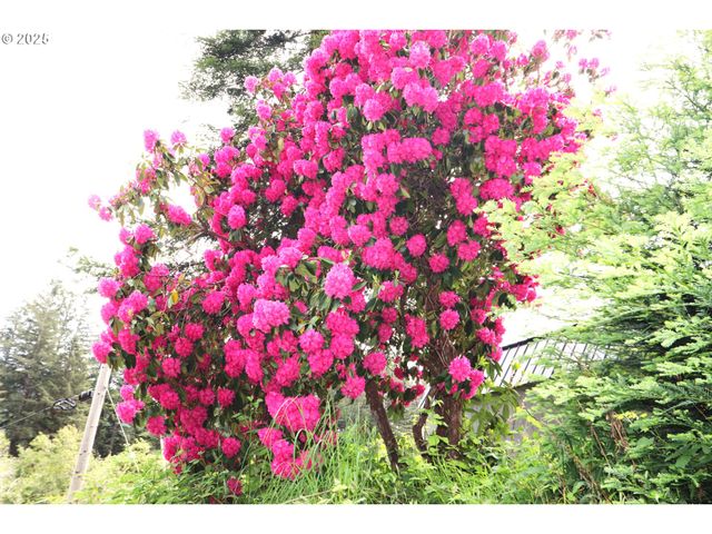 68814 W FORK MILLICOMA Rd, Coos Bay, OR 97420