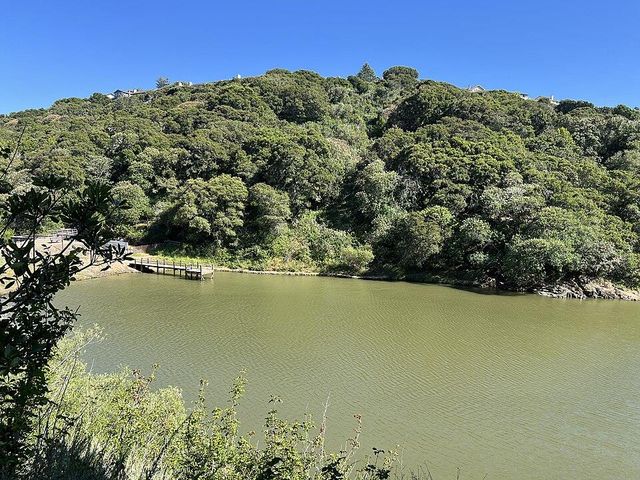 2702 Monte Cresta Drive, Belmont, CA 94002