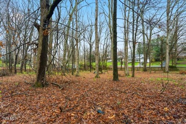 17611 Mahogany Drive, Abingdon, VA 24210