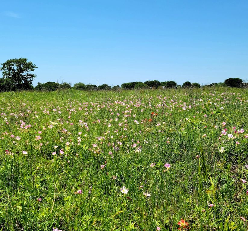 TBD HCR 1450 N, Covington, TX 76636