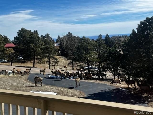 243 Paradise Rd, Golden, CO 80401