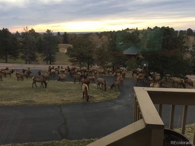 243 Paradise Rd, Golden, CO 80401