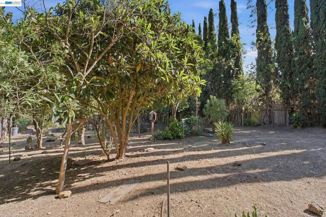 410 Monaco Ave, Union City, CA 94587