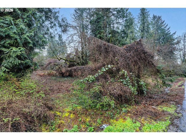 0 Ash St, Lake Oswego, OR 97034