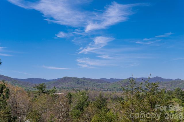 9 Dianthus Drive, Asheville, NC 28803