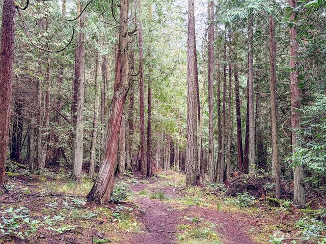 9999 Protection Ridge Road, Port Townsend, WA 98368