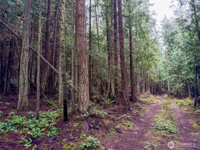 9999 Protection Ridge Road, Port Townsend, WA 98368