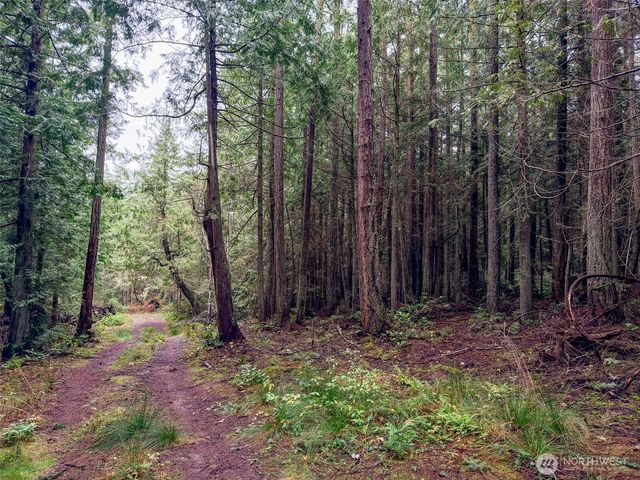 9999 Protection Ridge Road, Port Townsend, WA 98368