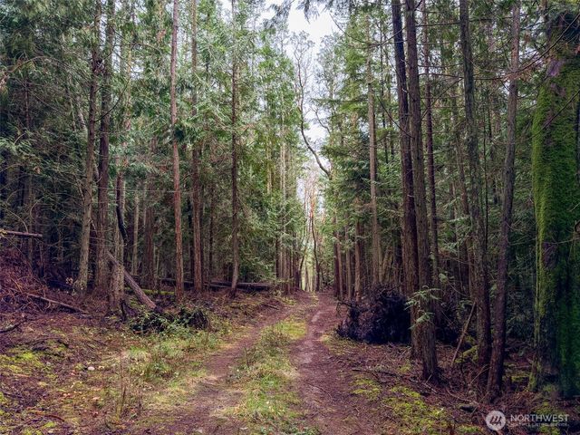 9999 Protection Ridge Road, Port Townsend, WA 98368