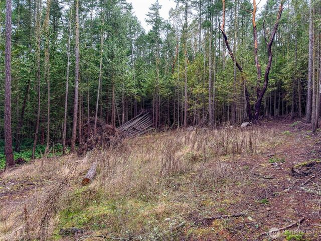 9999 Protection Ridge Road, Port Townsend, WA 98368