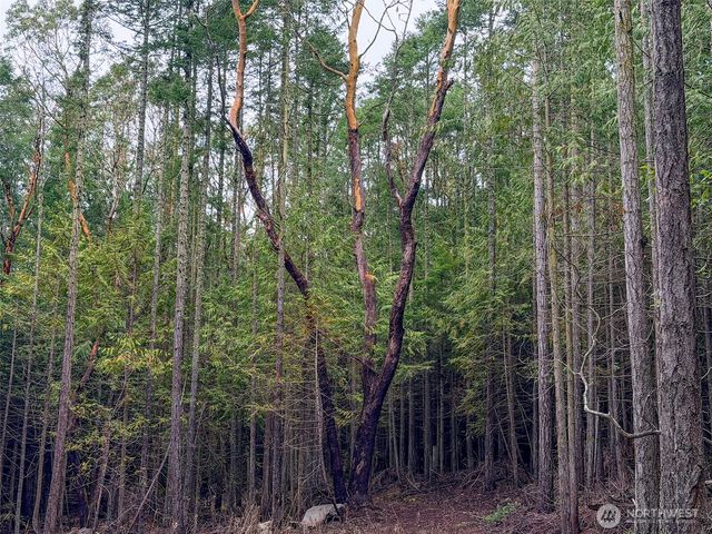 9999 Protection Ridge Road, Port Townsend, WA 98368