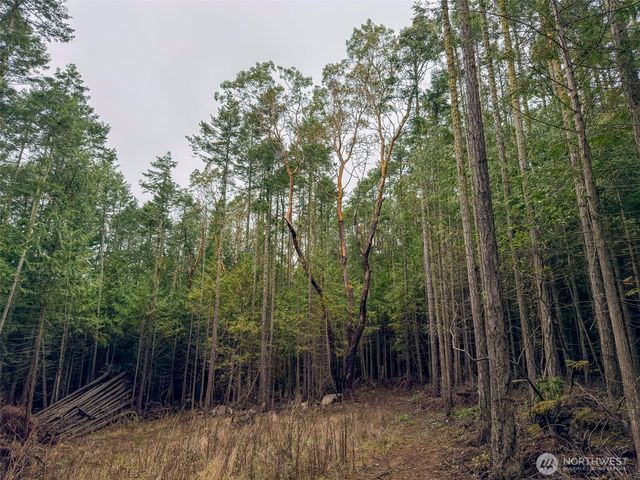 9999 Protection Ridge Road, Port Townsend, WA 98368