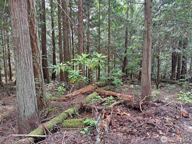 9999 Protection Ridge Road, Port Townsend, WA 98368