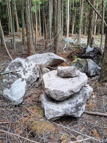 9999 Protection Ridge Road, Port Townsend, WA 98368