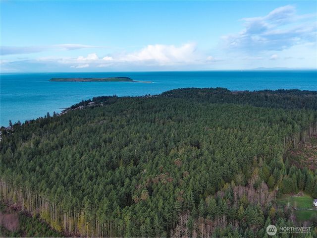 9999 Protection Ridge Road, Port Townsend, WA 98368