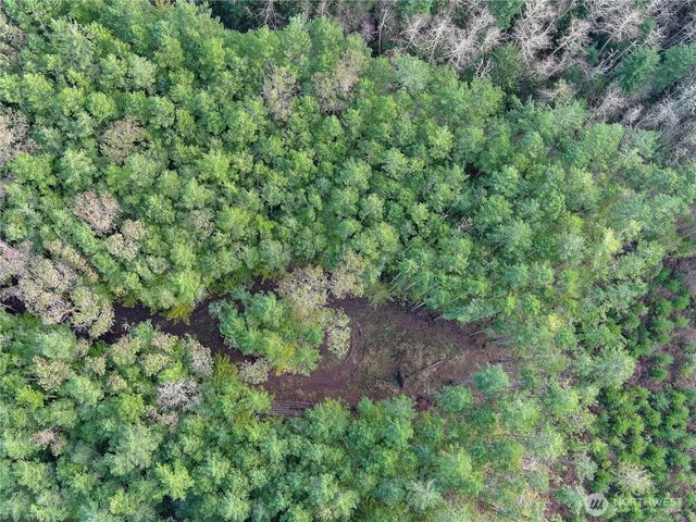 9999 Protection Ridge Road, Port Townsend, WA 98368