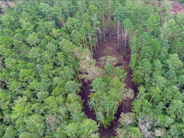 9999 Protection Ridge Road, Port Townsend, WA 98368