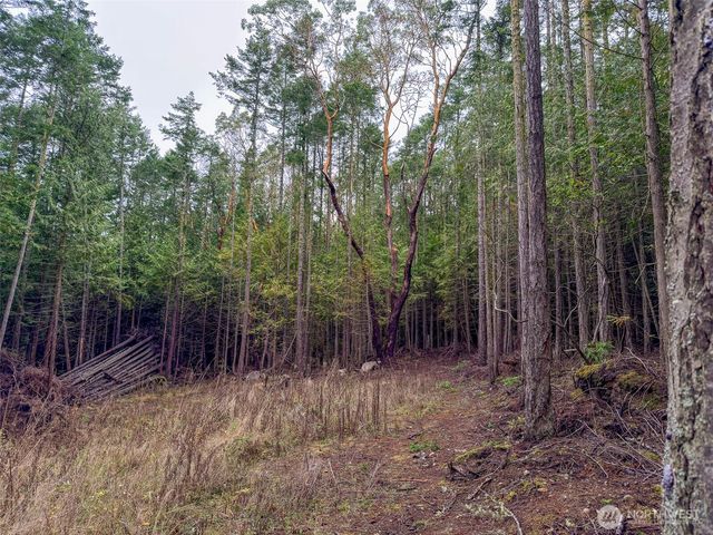 9999 Protection Ridge Road, Port Townsend, WA 98368