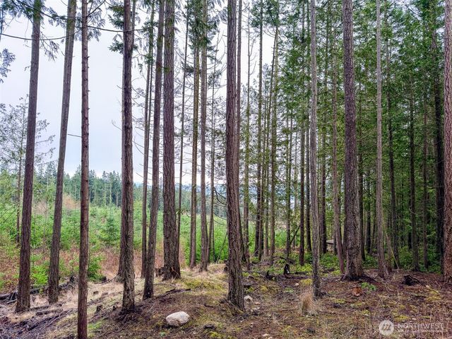 9999 Protection Ridge Road, Port Townsend, WA 98368