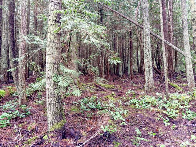 9999 Protection Ridge Road, Port Townsend, WA 98368