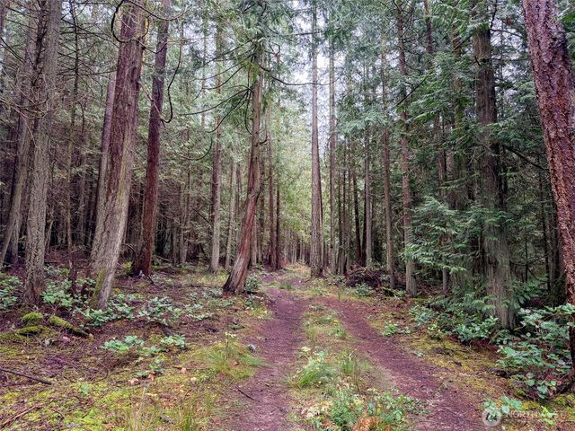 9999 Protection Ridge Road, Port Townsend, WA 98368