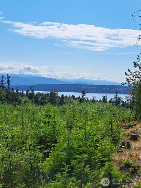 9999 Protection Ridge Road, Port Townsend, WA 98368