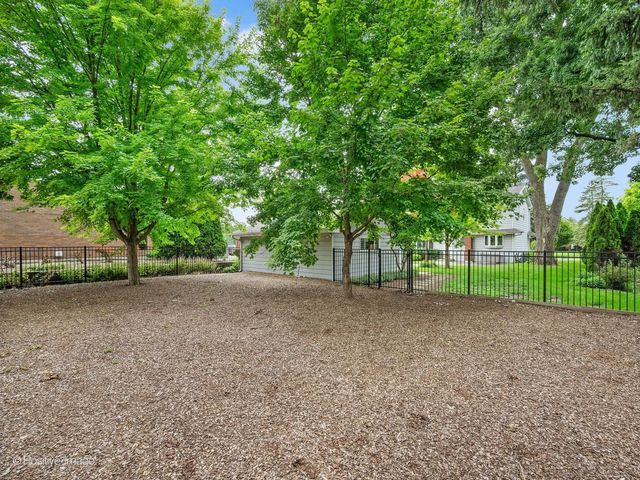 113 N Oak Street, Elmhurst, IL 60126