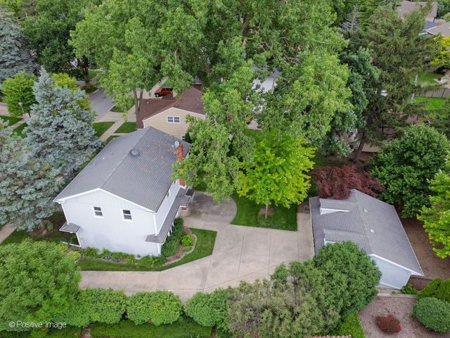 113 N Oak Street, Elmhurst, IL 60126