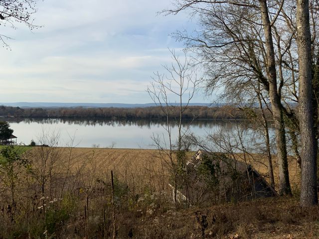 1118 Holly Glen Lane, Decatur, TN 37322