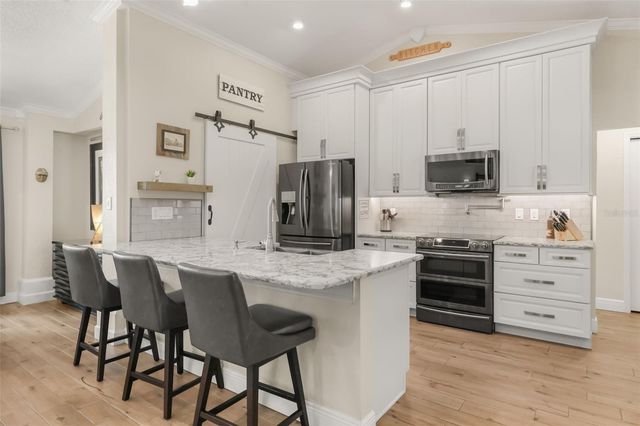 33000 LAKESHORE DRIVE, Tavares, FL 32778