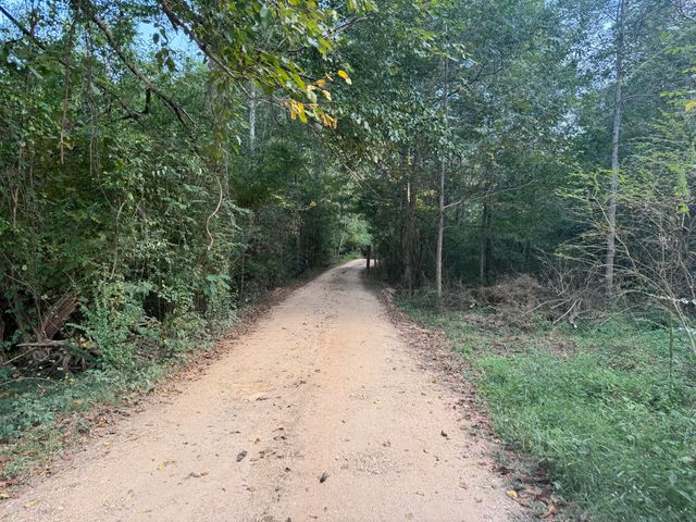 41 Terrys Chapel Rd., Foxworth, MS 39483