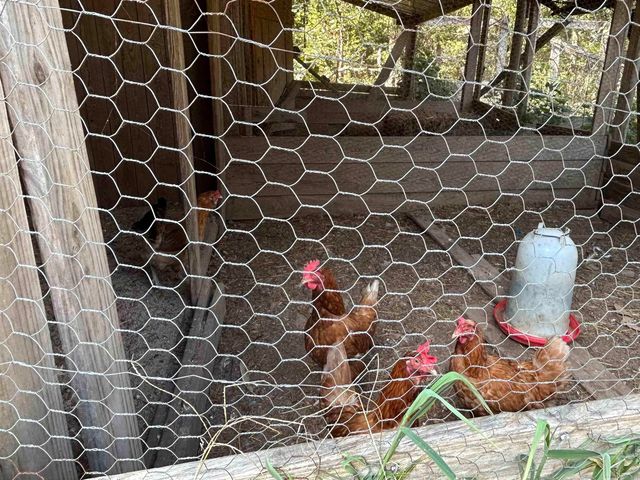 4150 County Road 7480, West Plains, Mo, MO 65775