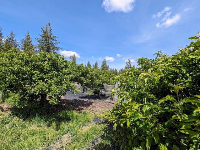 5418 B S Wallbridge Rd, Deer Park, WA 99006