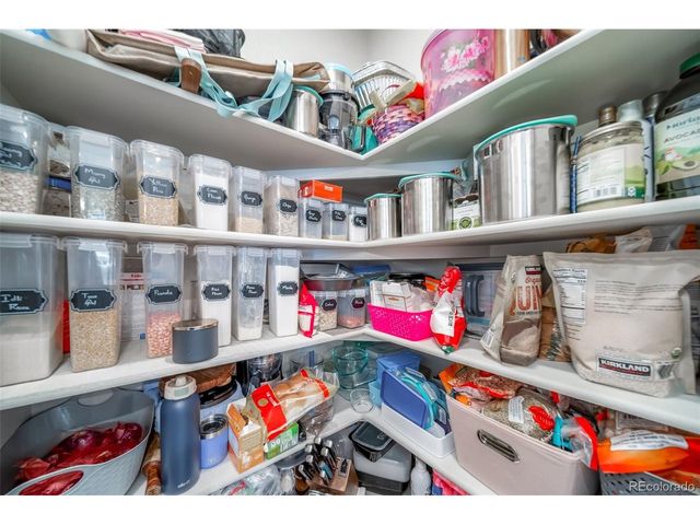 3872 Red Valley Cir, Castle Rock, CO 80104