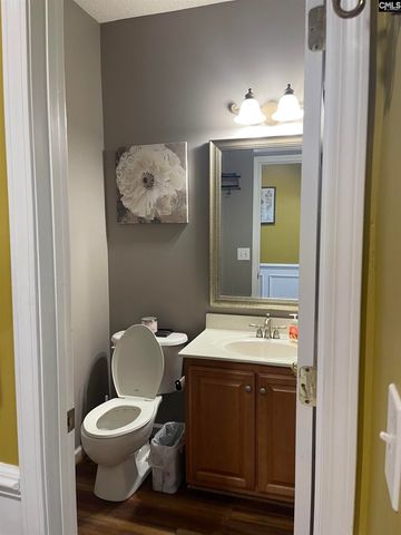 332 Buckthorne Drive, Lexington, SC 29072